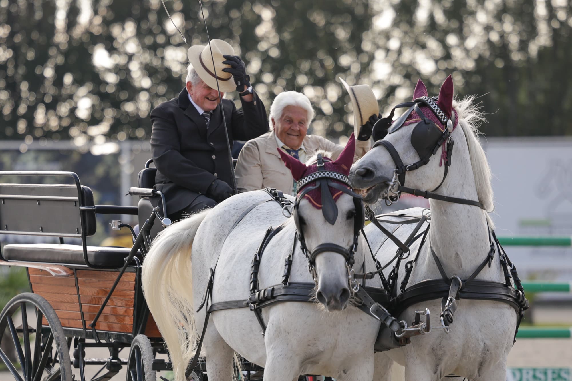 Una carrozza con due cavalli al Centro Ippico Etrea