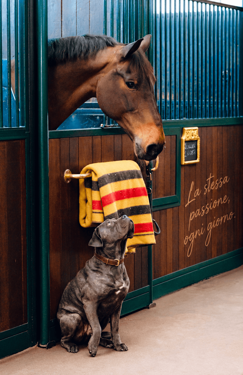 Un cavallo e un cane nella scuderia Etrea